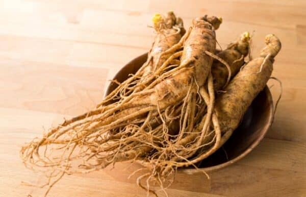 ginseng