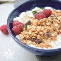 power granola with fruit