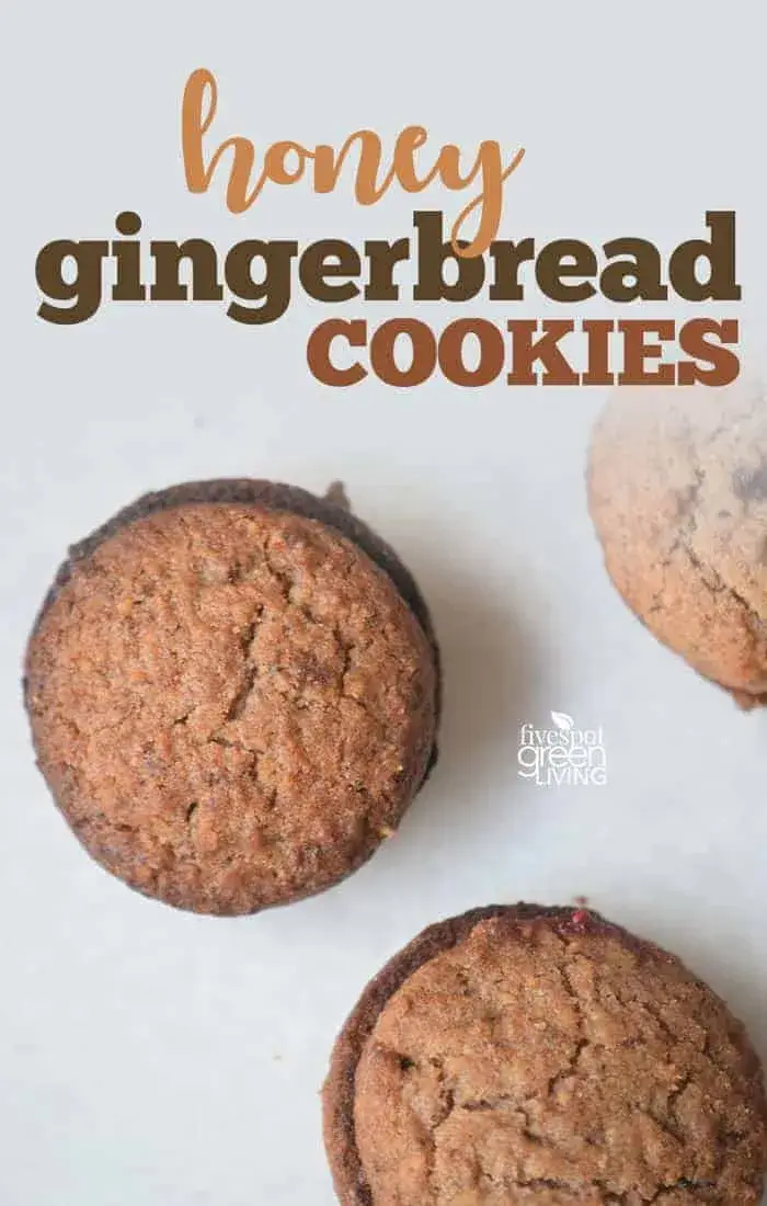 honey gingerbread cookies