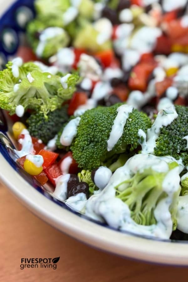 black bean salad closeup