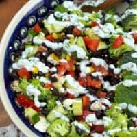 high protein black bean salad recipe