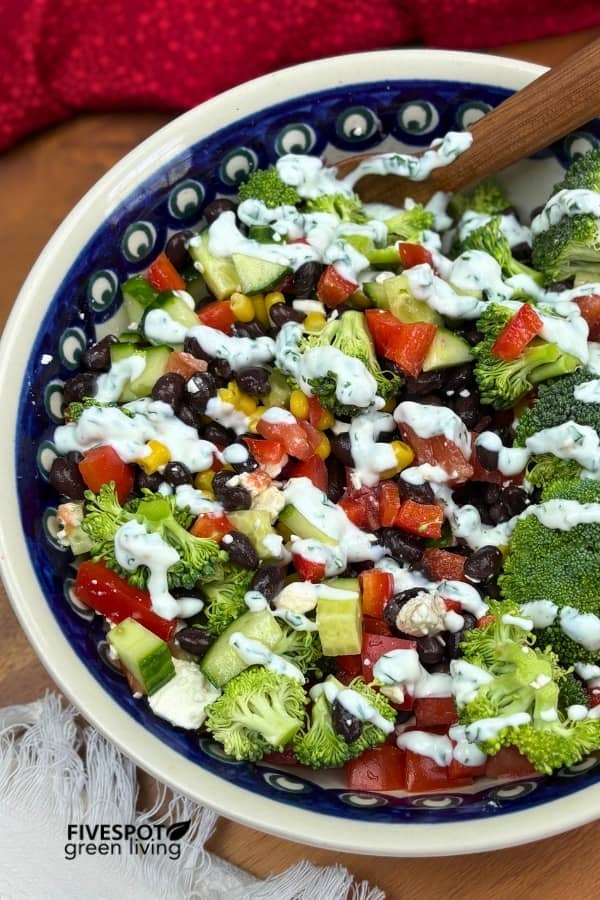 high protein black bean salad recipe