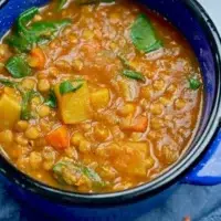 lentil stew in instant pot