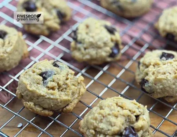 High Fiber Chocolate Chip Cookies Recipe