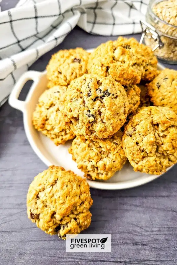 High Fiber Oatmeal Cookies for constipation