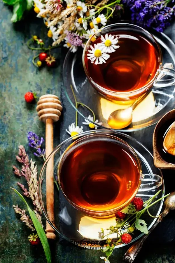 herbs and tea with honey stirrer